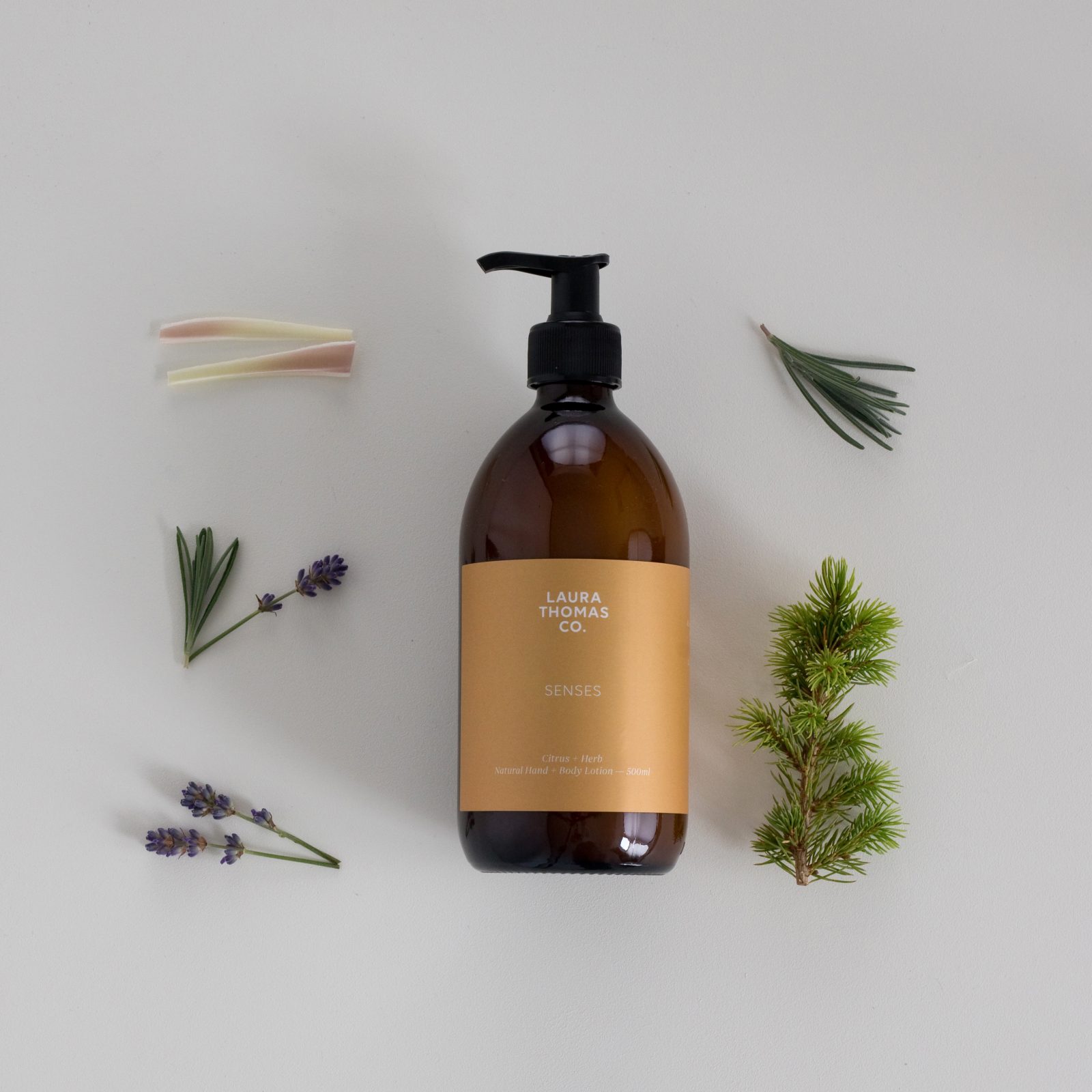 senses citrus + herb lotion