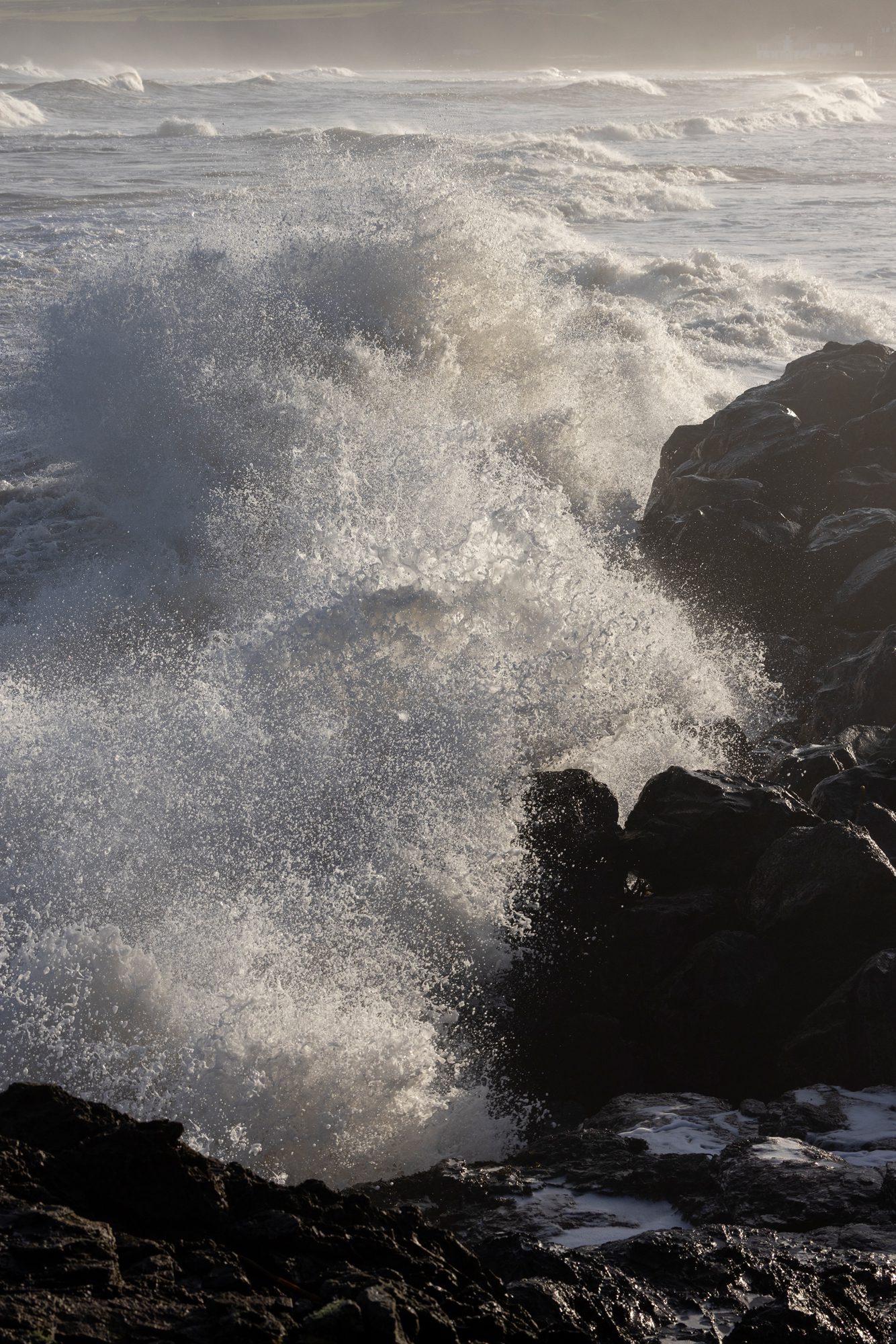 REVIVE Limited Edition Candle