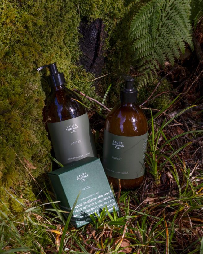 Forest Bundle