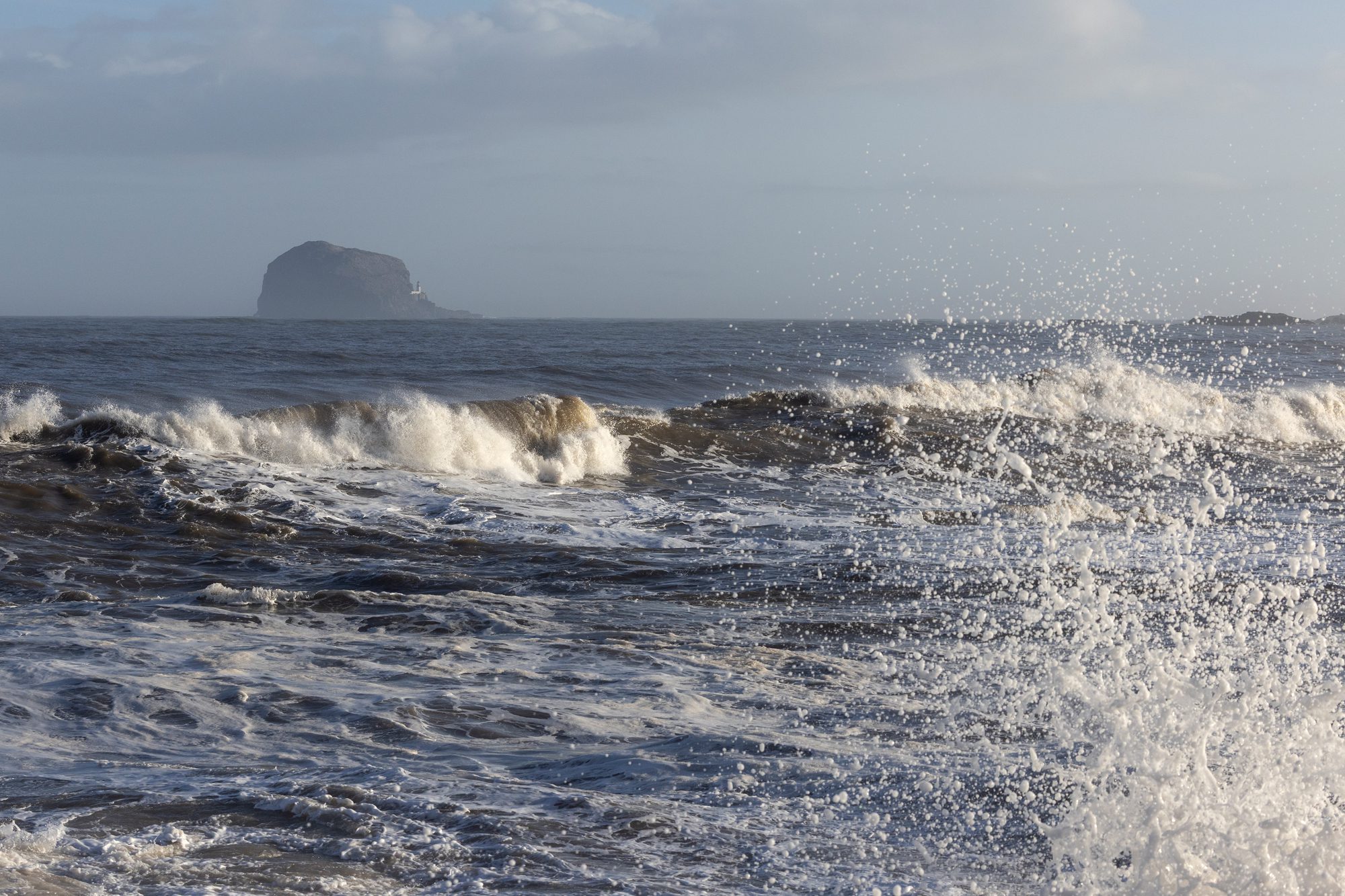 REVIVE Limited Edition Candle