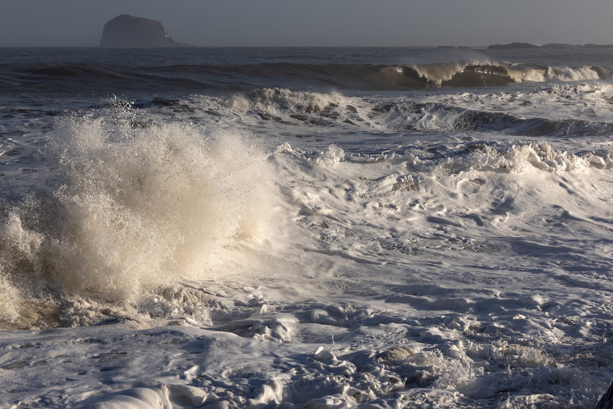 REVIVE Limited Edition Candle