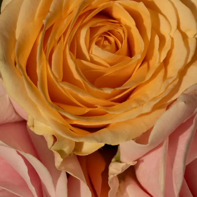 Alternative view of Noon Chronos Candle