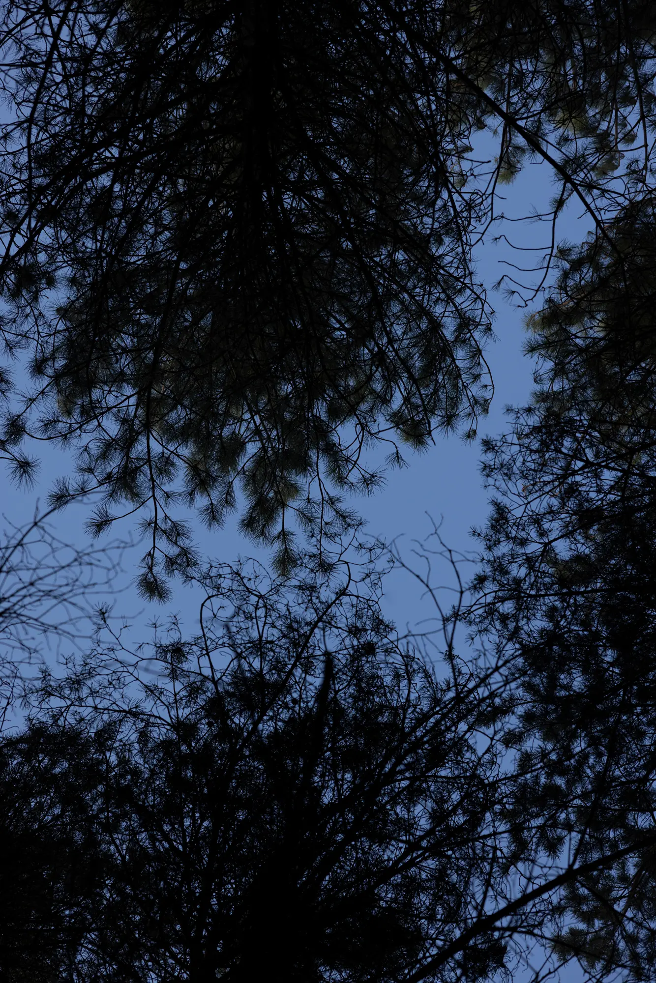 Moonlight Scent Diffuser - Image 4