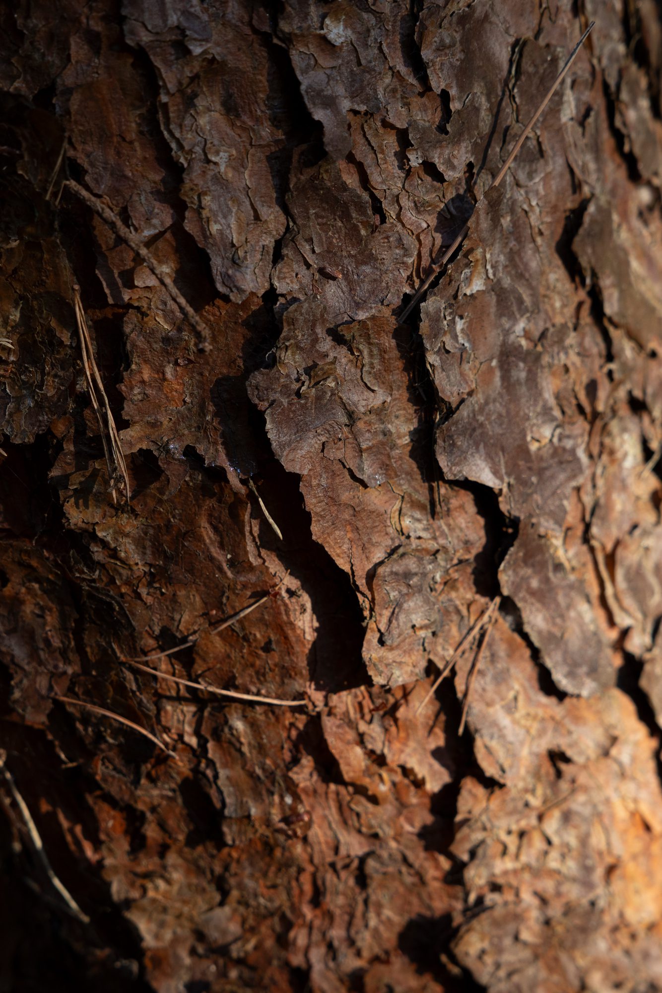 Moonlight Scent Diffuser - Image 5