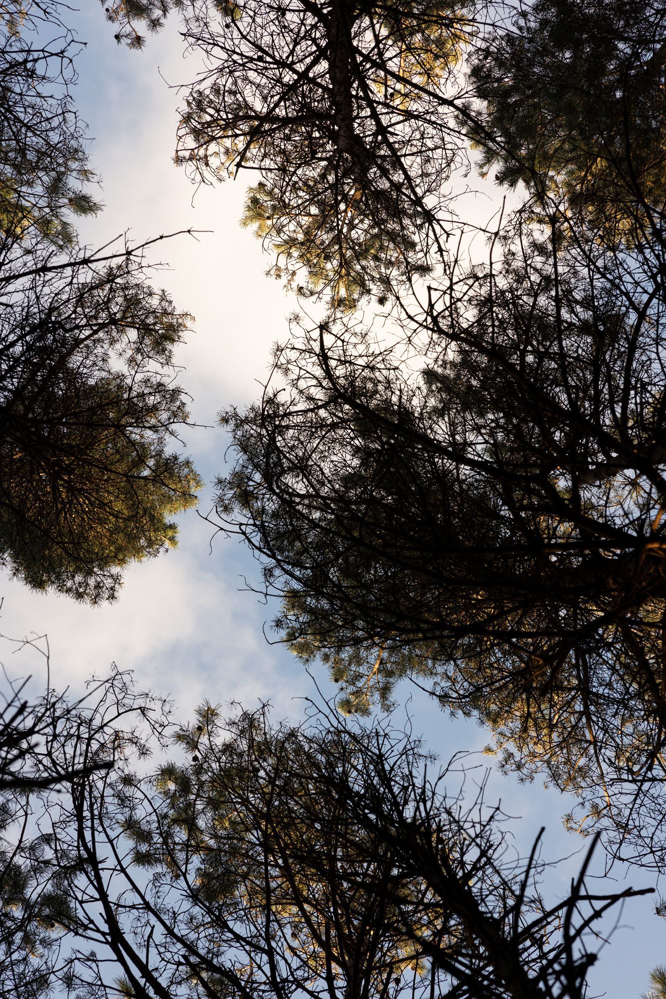 Noon Scent Diffuser - Image 5